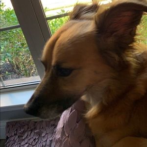 Meet your Posher, Carrie